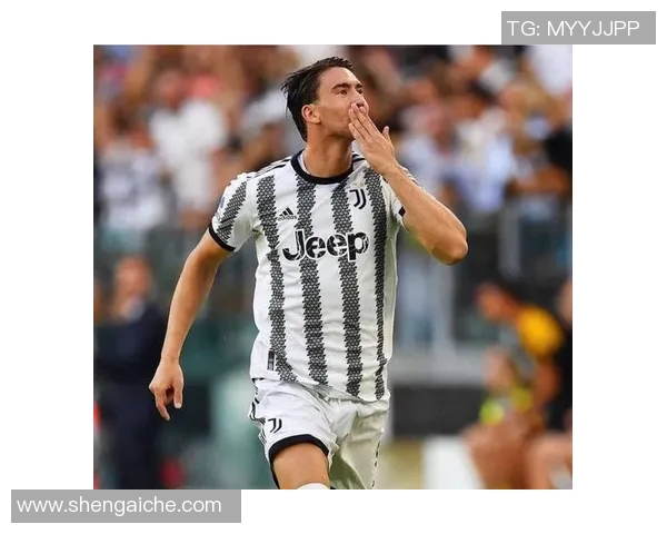 弗拉霍维奇：从新星崛起到足坛巨星的辉煌之路