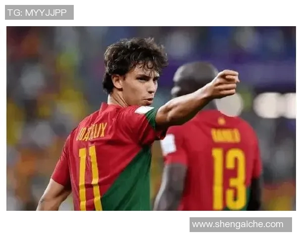 若昂内维斯：从天才少年到足球场上的璀璨明星之路