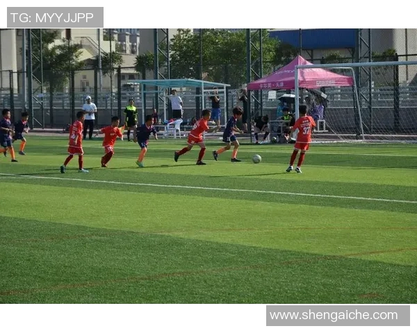 石家庄U9足球比赛精彩直播全程回顾与精彩瞬间分享