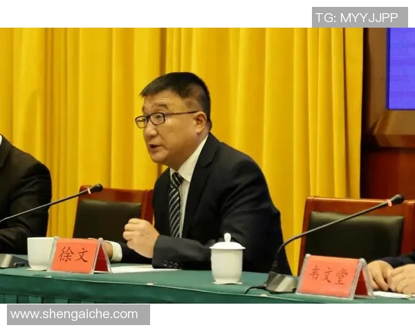 桃江县足球比赛现场直播精彩回顾与赛况分析全程记录不容错过