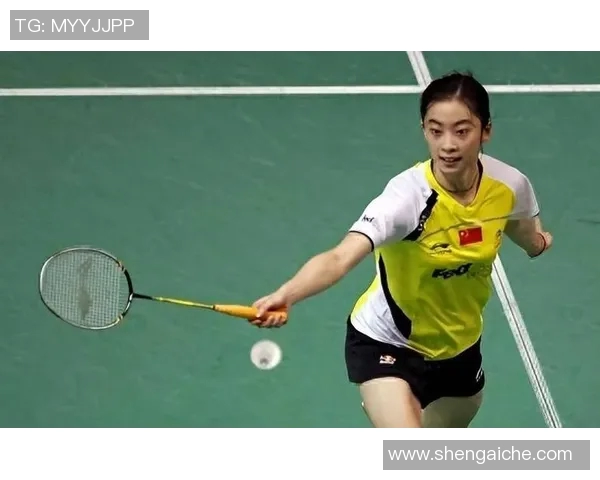 王适娴的奋斗历程与羽毛球事业的辉煌成就探讨