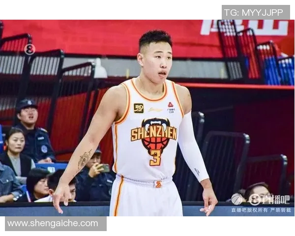 贺希宁：从青年才俊到篮球明星的成长之路与奋斗历程