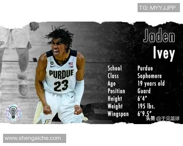 杰登艾维的崛起之路：从新秀到NBA明星的奋斗历程