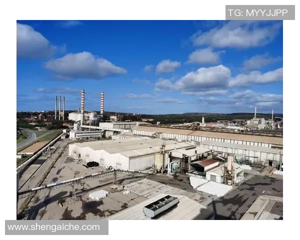 希洪竞技足球俱乐部的辉煌历程与未来发展展望分析