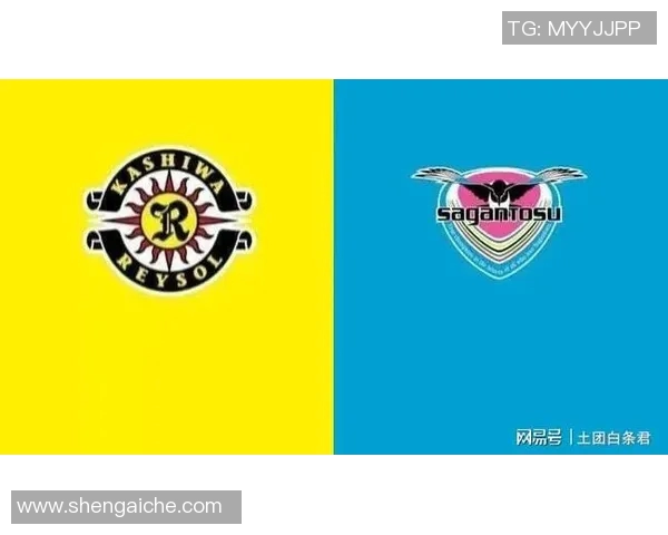 鸟栖与太阳神的对决探索自然与神话交织的奇妙世界 鸟栖与太阳神的对决探索自然与神话交织的奇妙世界