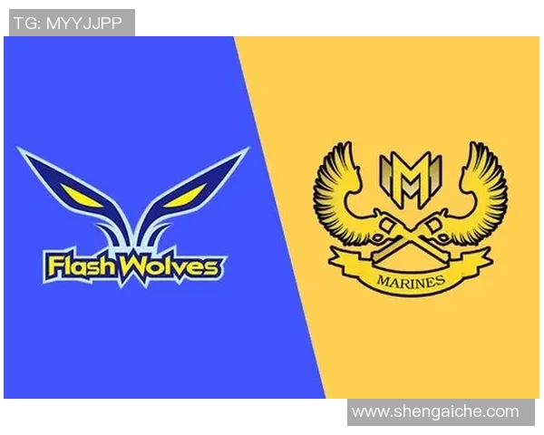 迪纳摩与马里迪莫精彩对决直播全程回顾与分析