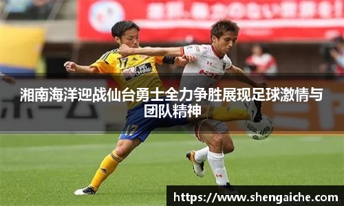 悟空体育手机最新版本